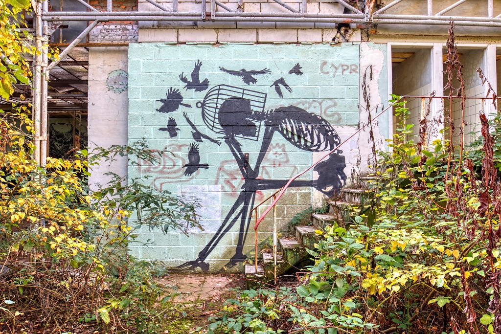 HDR graffiti streetart street-art street art skeleton factory urbex roa klaas van der linden kunst kunstwerk decay verlaten lost place places abandoned
